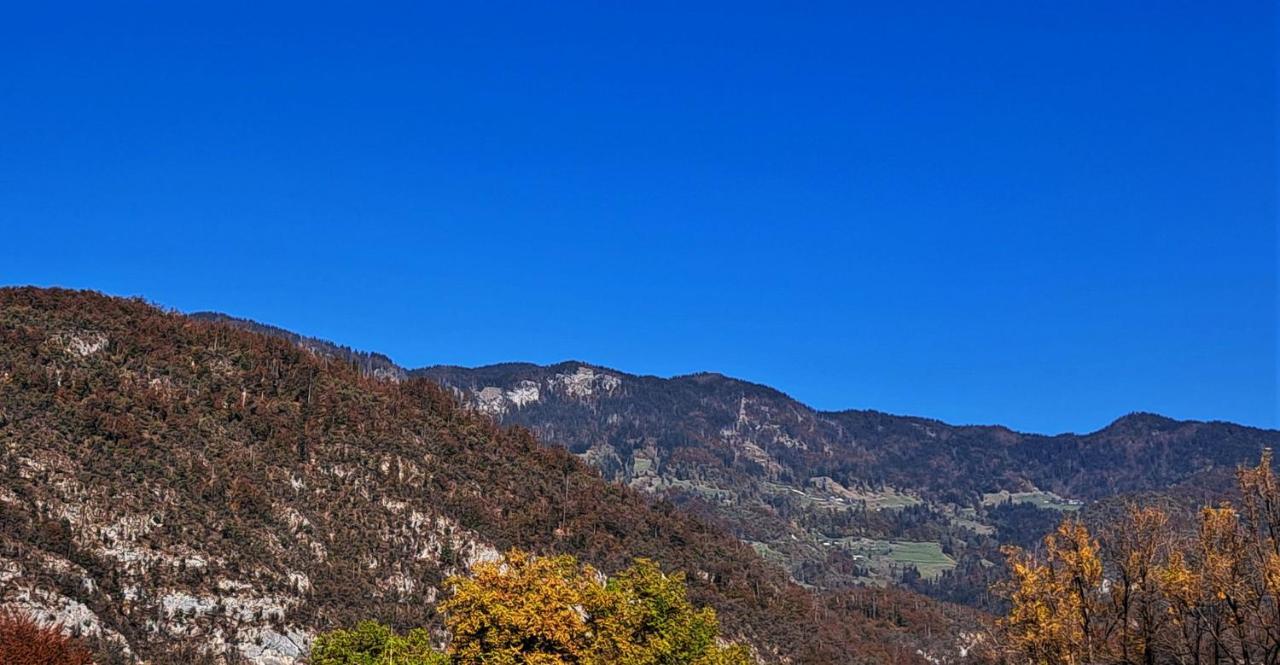 Apartmaji Alpski Cvet - Hisa Gorenc Bohinj ภายนอก รูปภาพ