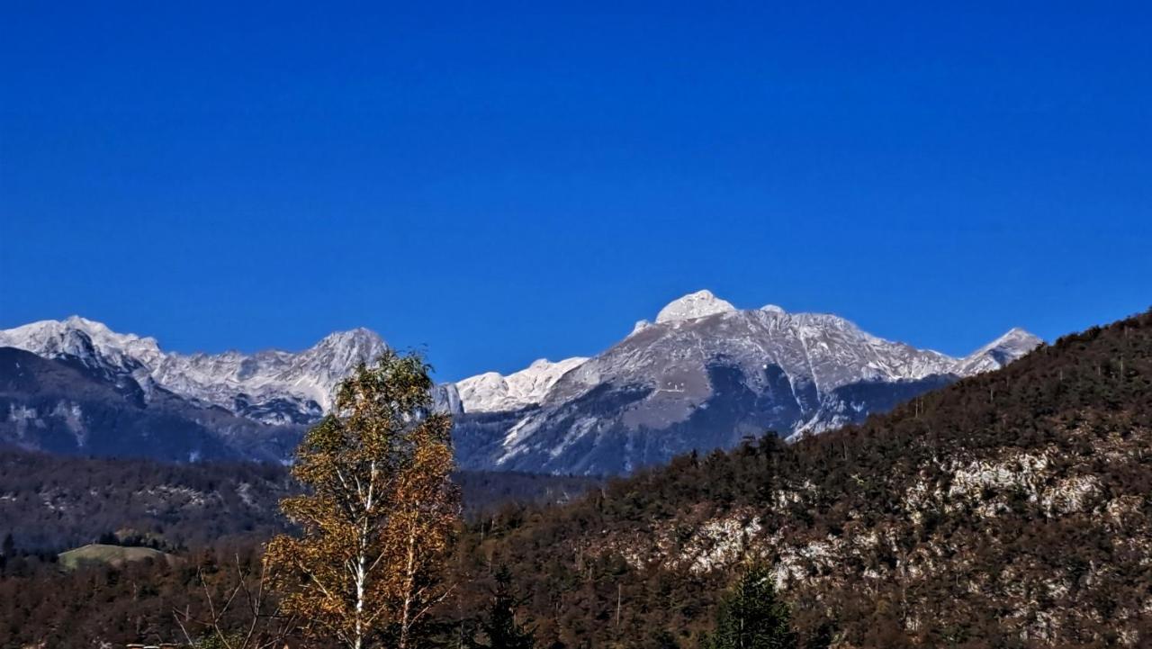Apartmaji Alpski Cvet - Hisa Gorenc Bohinj ภายนอก รูปภาพ