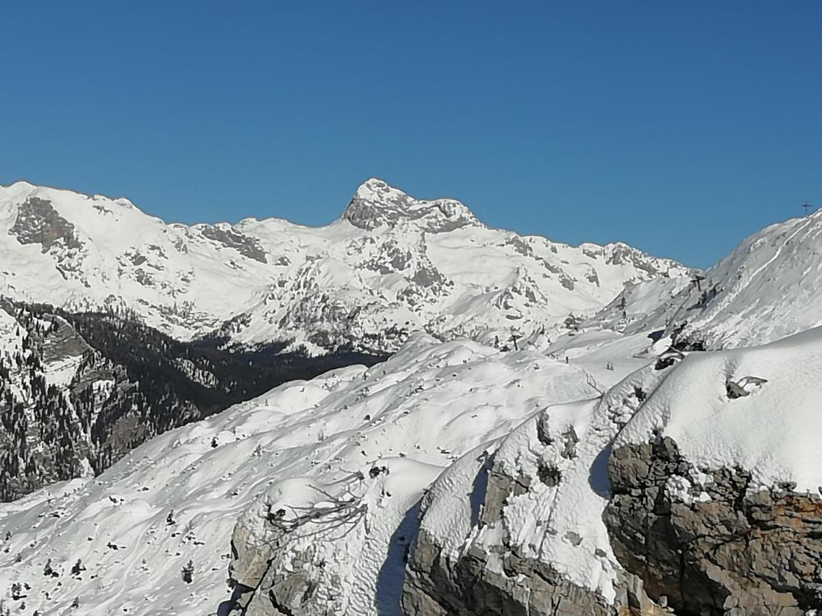 Apartmaji Alpski Cvet - Hisa Gorenc Bohinj ภายนอก รูปภาพ
