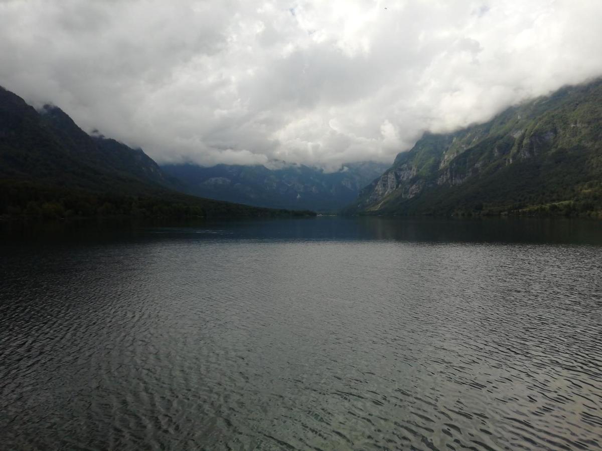 Apartmaji Alpski Cvet - Hisa Gorenc Bohinj ภายนอก รูปภาพ