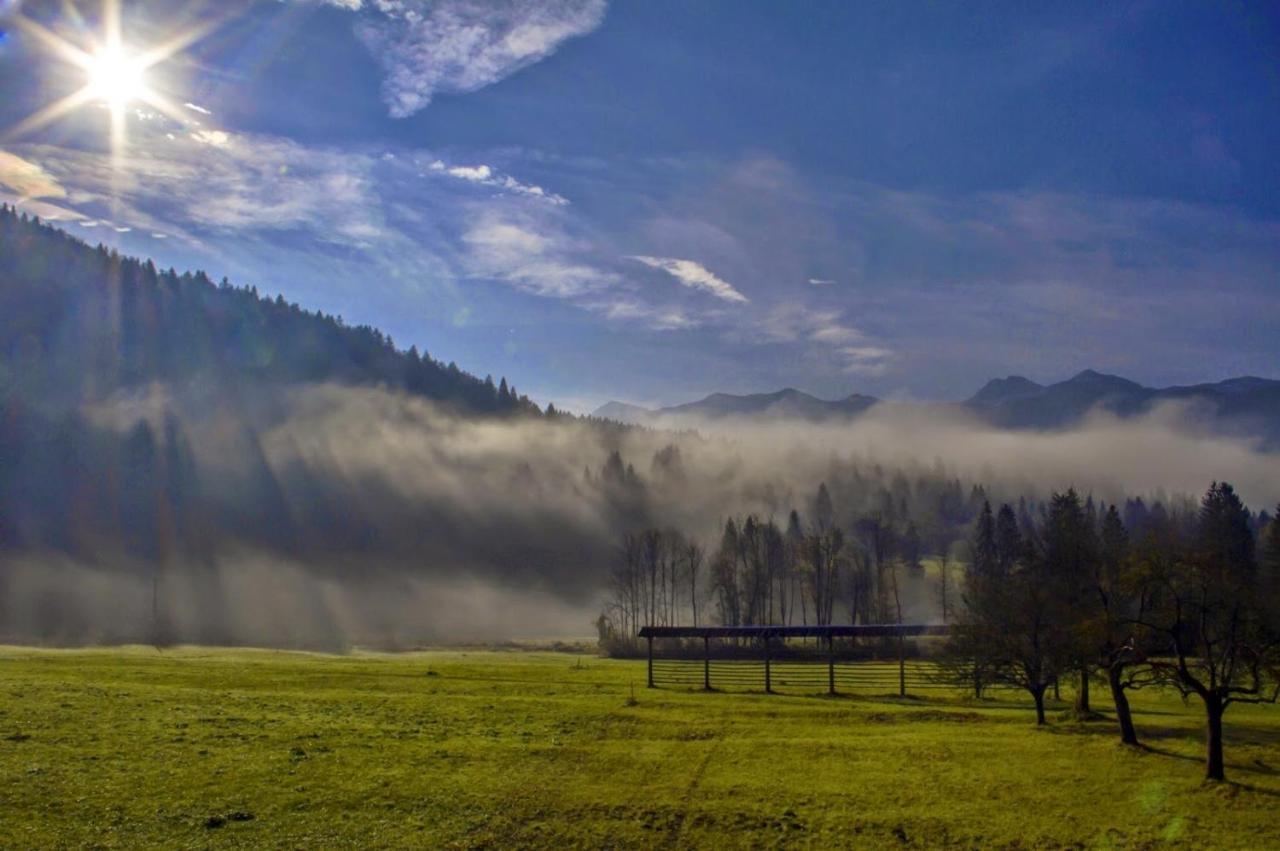 Apartmaji Alpski Cvet - Hisa Gorenc Bohinj ภายนอก รูปภาพ