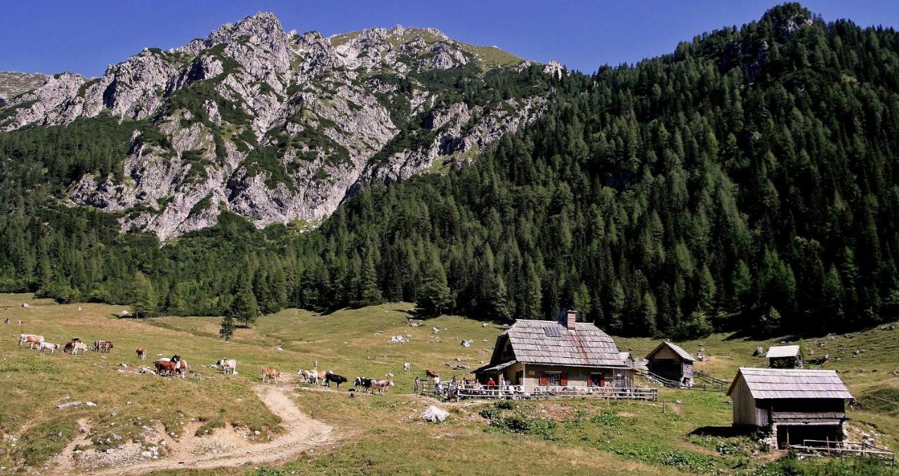 Apartmaji Alpski Cvet - Hisa Gorenc Bohinj ภายนอก รูปภาพ