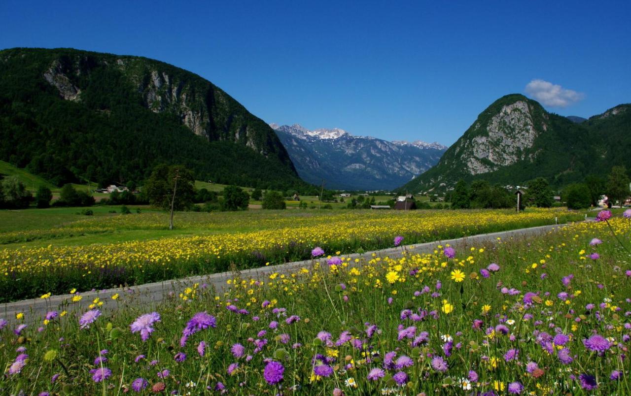 Apartmaji Alpski Cvet - Hisa Gorenc Bohinj ภายนอก รูปภาพ