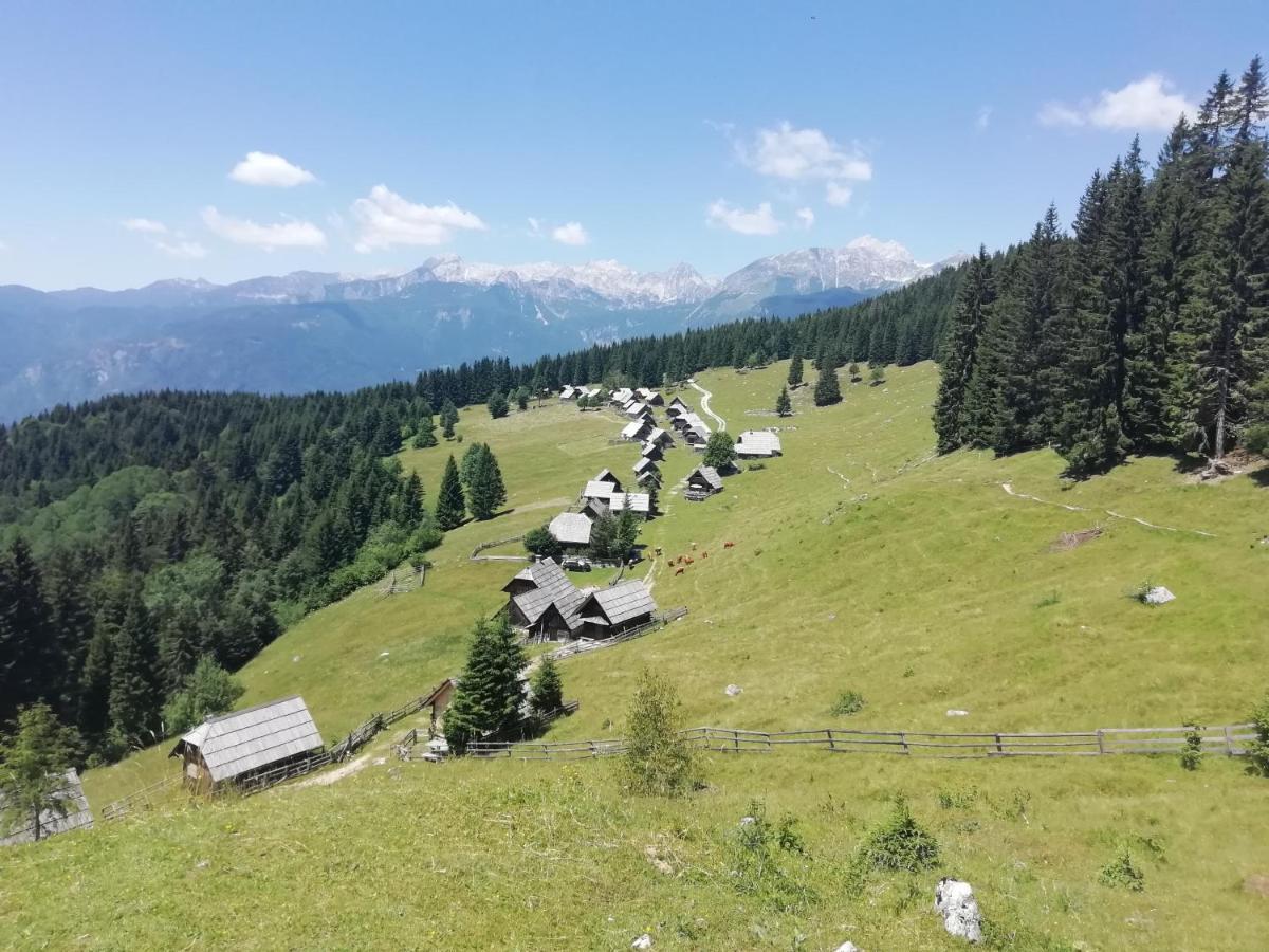 Apartmaji Alpski Cvet - Hisa Gorenc Bohinj ภายนอก รูปภาพ